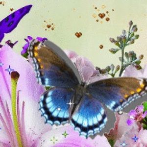 Meet your Posher, Charlotte